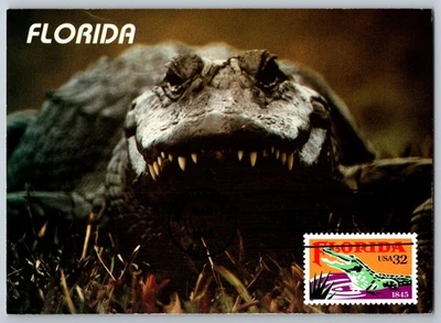#2950 Florida FDC Maxi Card - Image 1 of 2