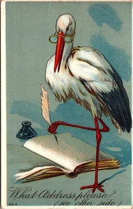 What Address Please? Anthropomorphic Stork Quill Ink Glasses embossed Postcard - Picture 1 of 2