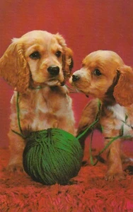 Vintage Postcard Cocker Spaniel Puppy Dogs Green Yarn Woonsocket RI - Picture 1 of 2