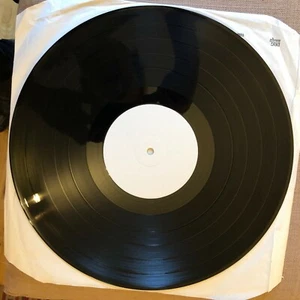 REPTILE - FAME AND FOSSILS LP WHITE LABEL 1989 EX+(hardly played) / RARE - Imagen 1 de 8