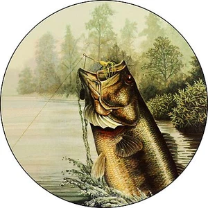 Cubierta de neumático de repuesto para lubina boca grande Fish - Agrega el tamaño de tu neumático en NOTAS durante la comprobación - Imagen 1 de 4