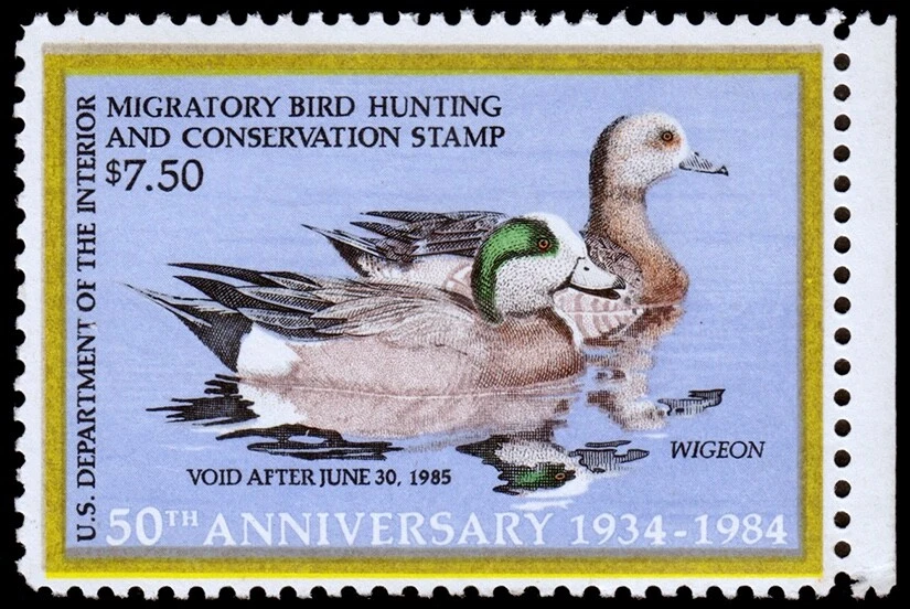 United States Hunting Permit Stamp Scott RW51 Margin Copy (1984) Mint NH VF W - Image 1 of 1