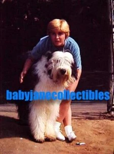 FOTO EXCLUSIVA DE PATTY DUKE #4 con PERRO PASTOR INGLÉS ANTIGUO (d-sl) - Imagen 1 de 1