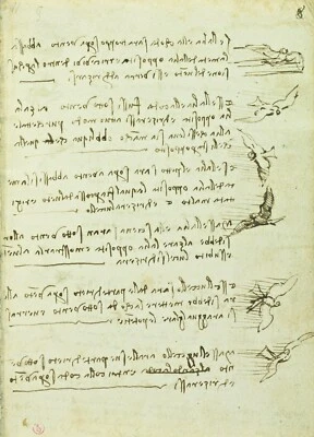 Leonardo da Vinci Flight Of Birds Wall Art Poster OR Canvas Size A4-A1 - Image 1 of 3