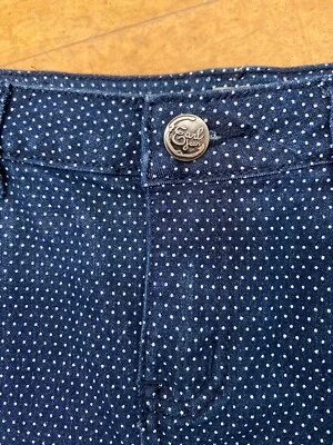POLKADOT DENIM Earl Jeans Blue And White Skirt Womens Size 4 Stretch Cotton - Image 1 of 4