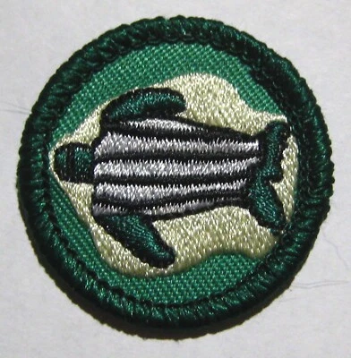INSIGNIA DE TORTUGAS MARINAS Girl Scout Junior Parche Propio Consejo Animales Oceánicos Reptil IL Foto 1 de 2
