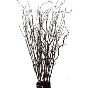 FEILIX 10PCS LIFELIKE CURLY WILLOW BRANCHES DECORATIVE DRIED TWIGS - BROWN - Picture 1 of 5