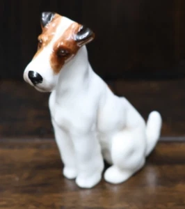 De colección Royal Doulton Fox Terrier Sentado K8 2.5" H Blanco Negro Marrón 1931-1977 A - Imagen 1 de 10