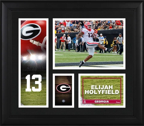 Elijah Holyfield Georgia Bulldogs Framed 15" x 17" Player Collage Cover