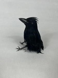Realistische Halloween Krähe Requisiten Dekor Vogel schwarz gefiedert Krähe Weihnachtsschmuck 4" - Bild 1 von 4