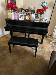 Steinway Grand Piano Model B - Antique - Picture 1 of 1