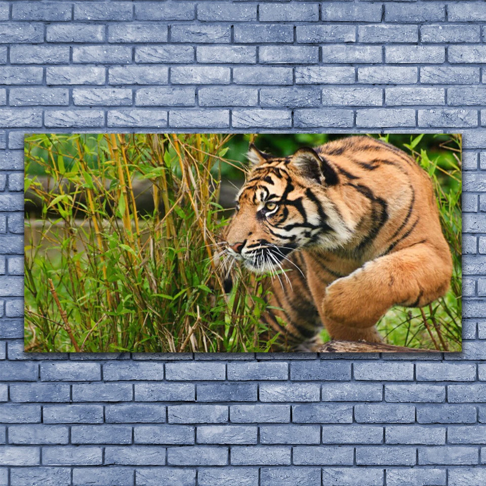 Tableau Image Impression sous verre 140x70 Animaux Tigre - Photo 1/1