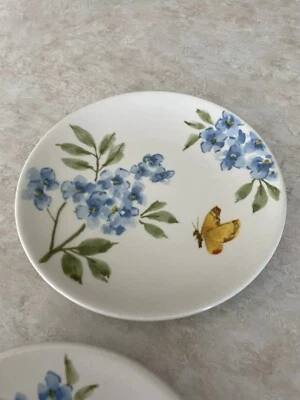 Набор из 2 закусочных тарелок Maxcera 6 дюймов, синяя гортензия, желтая бабочка 2 дизайна - Изображение 1 из 3