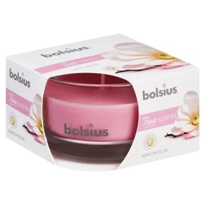 Vidrio perfumado plano Bolsius True Scents 50x80 mm magnolia (6 unidades) - Imagen 1 de 2