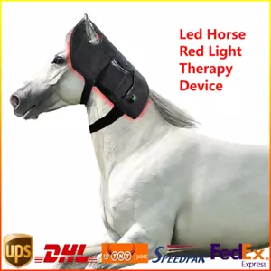 660nm 850nm LED Pferd Rotlichttherapiegerät Lichttherapie Halstuch für Pferdekopf - Bild 1 von 8