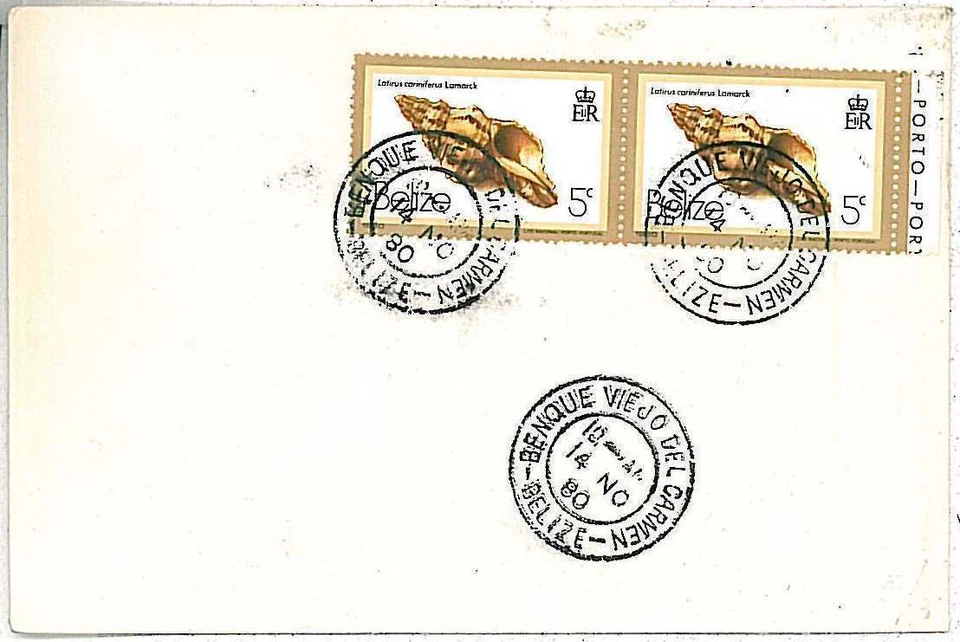 28716 - BELICE - Historia Postal - FUNDA de BENQUE VIEJO del CARMEN 1980 Foto 1 de 1