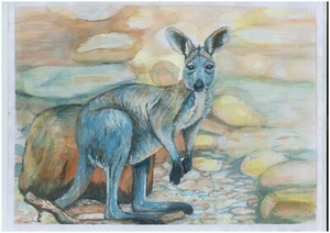 Nueva acuarela canguro por artista australiano A3 o A4 edición limitada impresión - Imagen 1 de 3