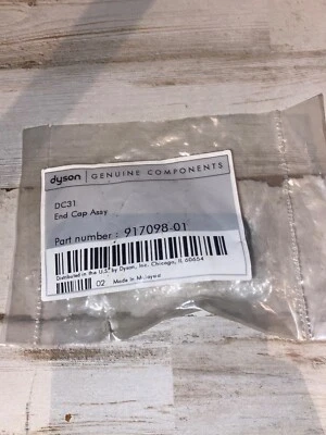 Aspiradora Dyson 917098-01 DC31 conjunto de tapa de extremo plateado genuino Foto 1 de 2