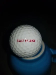 Tally Ho Lodge Logo Golfball - Canaan Valley - Blackwater Falls West Virginia - Bild 1 von 1