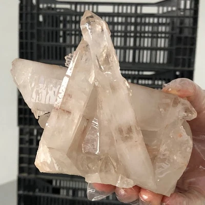 769g Natural white transparent Clear Quartz Crystal Cluster Mineral Healing F4 - image 1 of 4