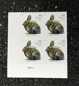 2021USA #5544 Additional Ounce Rate - Brush Rabbit - Plate Block of 4 Mint - Picture 1 of 4