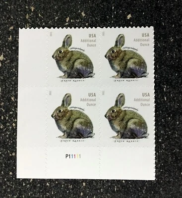 2021USA #5544 Additional Ounce Rate - Brush Rabbit - Plate Block of 4  Mint - Image 1 of 4