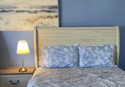 Blue And White Toile Pillow Cover Set Of 2 Queen Pillow 100% Cotton - Image 1 of 4