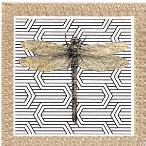 Serviettes en papier libellule odonat. Paper napkins dragonfly otonata - Picture 1 of 1