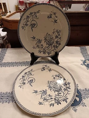 Assiette plate terre de fer modèle Perruche de Creil et Montereau - Photo 1/4