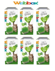 Cat Grass Webbox EASY GROW KIT CAT TREAT Natural Treats, Vitamins, Vegan 120g. - Picture 1 of 6