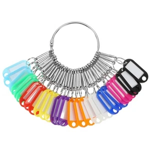 Portable Key Organizer Keychain Holder with 30 Key Label Tags for Office Hotel - Picture 1 of 6