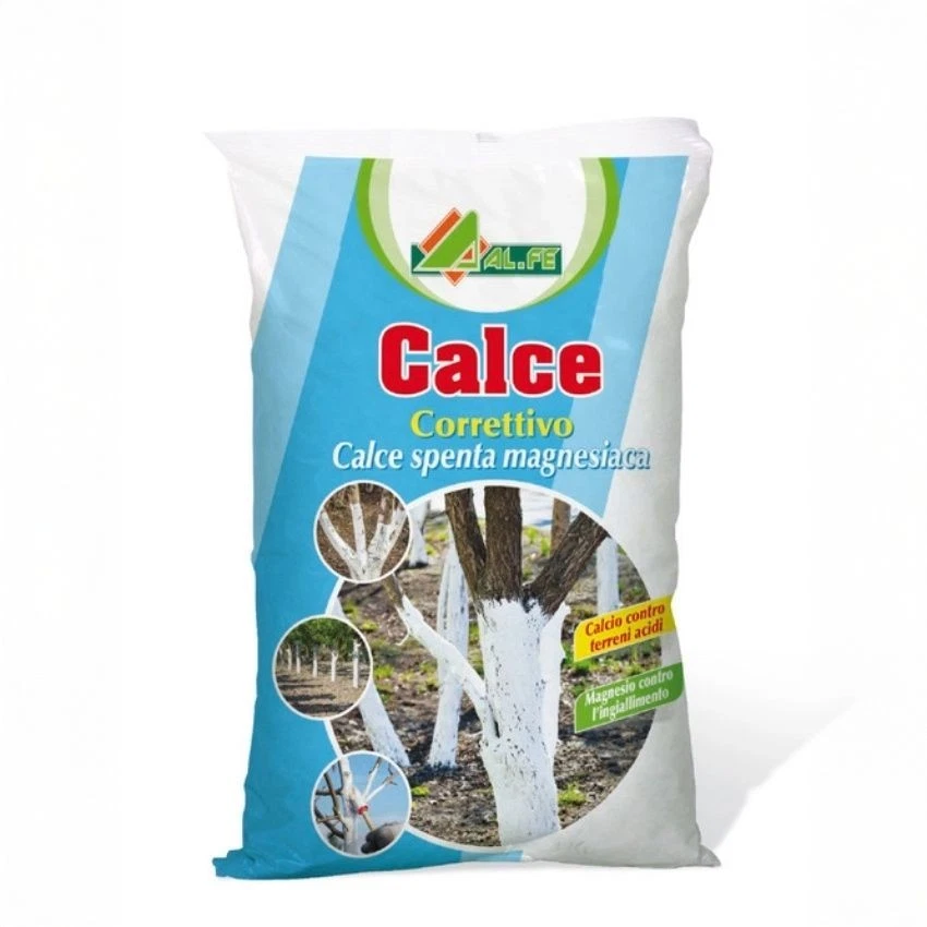 ALFE CALCE SPENTA MAGNESIACA CONFEZIONE DA 4 KG - Immagine 1 di 1