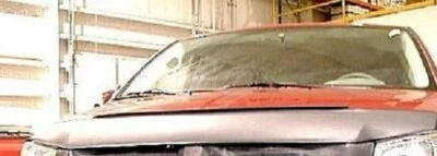 Sujetador Lebra Protector Capucha Mini Máscara 1 pieza. Se adapta a Dodge Grand Caravan 2008-2010 08-10 Foto 1 de 4