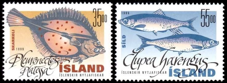 Islandia 1999 peces - arenque atlántico y sollaza, MNH / UNM Foto 1 de 1