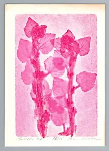 Vintage 60s,70s Botanical Scientific X-Ray Art Print, Floral Monotype, 7x5 - Picture 1 of 2