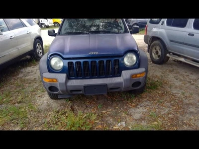 Rear Back Door Fits 03-07 LIBERTY 1126705 Foto 1 de 4