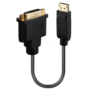 LINDY 41004 DisplayPort auf DVI Konverter - Afbeelding 1 van 9