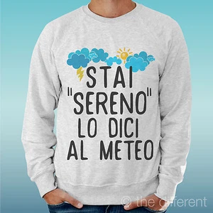 Felpa Uomo Grigio Simpatica Stai Sereno Lo Dici Al Meteo Idea Regalo - Picture 1 of 1
