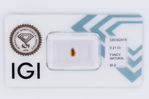 💎Fancy Diamant Intense Yellowish Brown - 0.21 ct. - SI2 - IGI Zertifikat 💎 - Bild 1 von 5