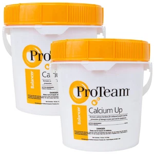 ProTeam Calcium Up 10lb 2p Bucket Calcium Hardness Increaser Swimming Pool & Spa - Picture 1 of 1