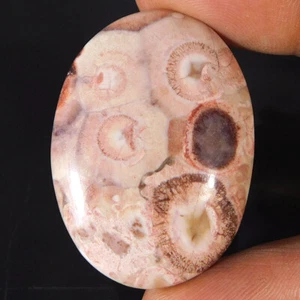 Natürlich Unbehandelt Einzigartig Vogel Auge Jaspis Oval Cabochon 46.70Cts. Lose - Bild 1 von 3