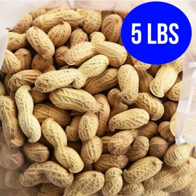 5 lbs Salted Roasted In-Shell Peanuts - Image 1 of 4