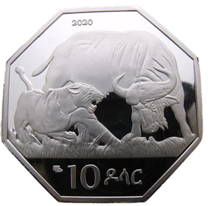 QAFAR - ETHIOPIA 10 BIRR 2020 LION AND BUFFALO FIGHTING - RARE OCTAGONAL 43mm PF - Picture 1 of 2