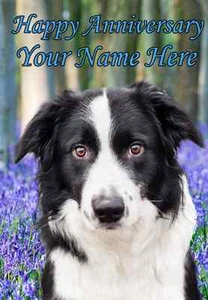 Border Collie  Happy Anniversary  A5 Personalised Greeting Card  PIDBOR1 - Picture 1 of 1