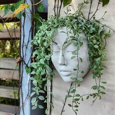 Planter Wall Face Pot Decor Head Resin Mounted Hunthawk Plan Wall Resin Wall NEW