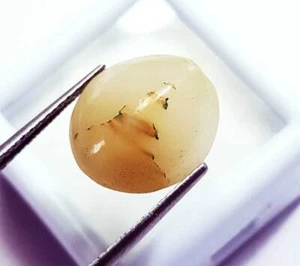 Meravigliosa pietra preziosa sfusa occhio di gatto 100% naturale 11,20 ct forma ovale certificata - Foto 1 di 5