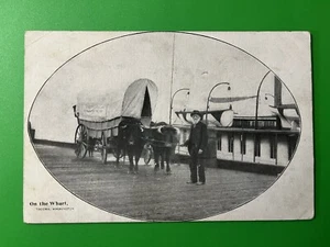 On the Wharf, Tacoma, Washington WA Postcard ~ Ezra Meeker, Covered Wagon Oxen A - Picture 1 of 2