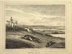 JAGD Windhund Coursing Samuel Howitt Original Kupferstich 1834 - Bild 1 von 2