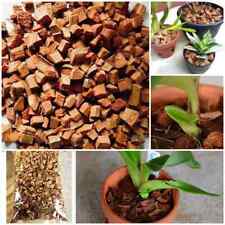 Coconut Husk dry chips Organic Natural Fiber Orchids Anthurium Growing Media