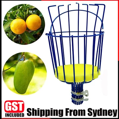 Fruit Picker Basket Tool Gardening Supply Harvesting Tree Fruits Picking New AU  - image 1 of 4